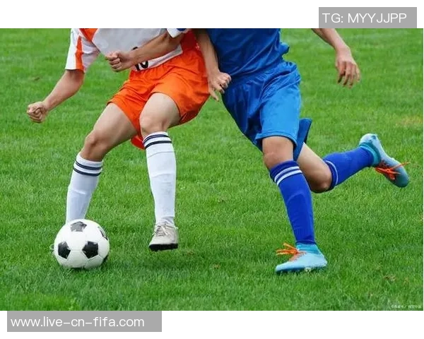 我对足球和篮球的冷淡态度以及寻找其他运动的乐趣与价值 我对足球和篮球的冷淡态度以及寻找其他运动的乐趣与价值